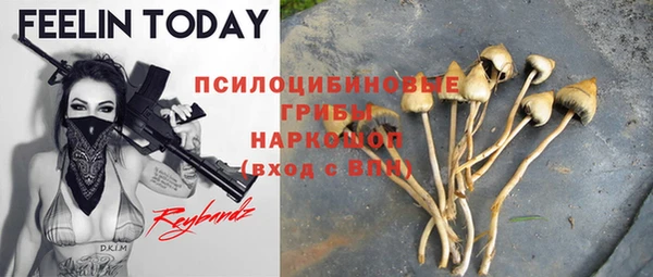 бошки Алзамай