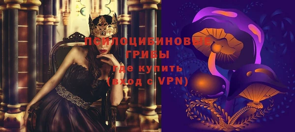 сатива Нязепетровск