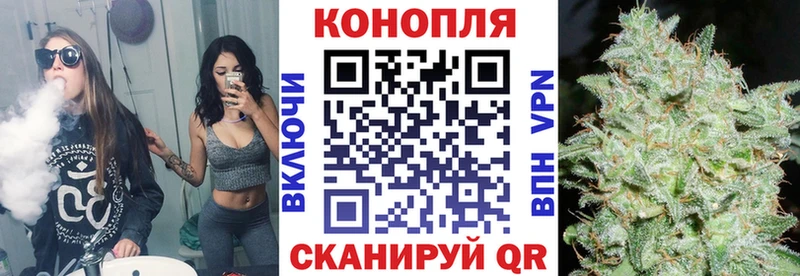 shop состав  Шатура  Бошки марихуана гибрид  где купить наркоту 